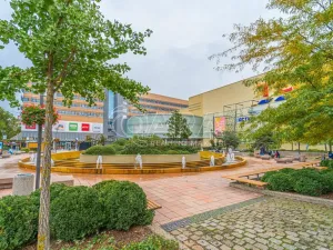 Prodej bytu 3+kk, Praha - Vršovice, Na louži, 71 m2