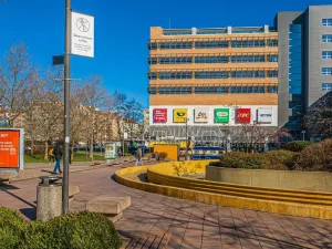 Prodej bytu 3+kk, Praha - Vršovice, Na louži, 71 m2