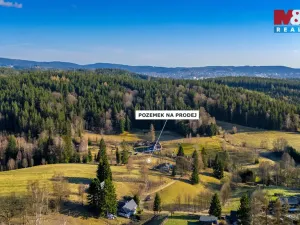 Prodej louky, Janov nad Nisou - Loučná nad Nisou, 6847 m2