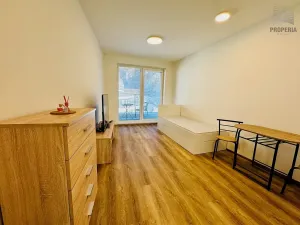 Pronájem bytu 1+kk, Brno, Bystrcká, 28 m2