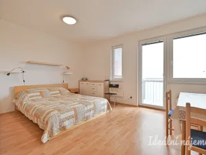 Pronájem bytu 1+kk, Brno - Zábrdovice, Francouzská, 30 m2