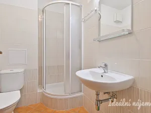 Pronájem bytu 1+kk, Brno - Zábrdovice, Francouzská, 30 m2