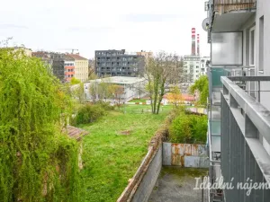 Pronájem bytu 1+kk, Brno - Zábrdovice, Francouzská, 30 m2