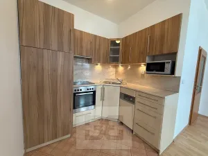 Pronájem bytu 2+kk, Praha - Holešovice, V háji, 44 m2