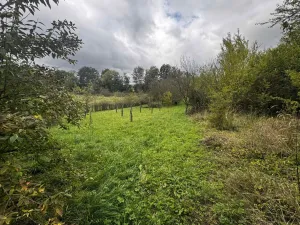 Prodej zahrady, Soběchleby, 1872 m2