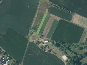 Prodej louky, Děčany, 2924 m2