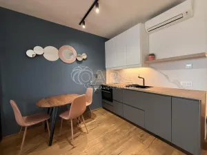 Pronájem bytu 1+kk, Praha - Karlín, Křižíkova, 32 m2