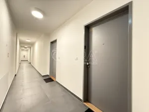 Pronájem bytu 1+kk, Praha - Karlín, Křižíkova, 32 m2