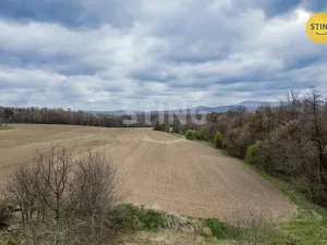 Prodej rodinného domu, Třinec - Oldřichovice, 240 m2