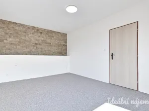 Prodej bytu 1+1, Nížkovice, 35 m2