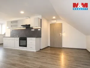 Pronájem bytu 2+kk, Ludgeřovice, 50 m2