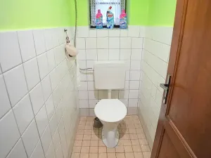 Prodej rodinného domu, Kralupy nad Vltavou, Jana Palacha, 132 m2