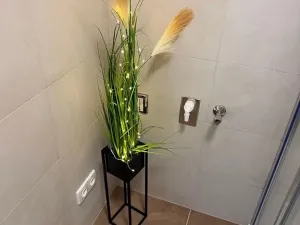 Pronájem bytu 2+kk, Brno - Židenice, Kuklenská, 49 m2