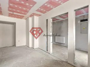 Prodej rodinného domu, Ústí nad Orlicí, T. G. Masaryka, 277 m2