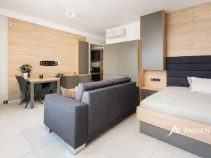 Pronájem bytu 1+kk, Brno, Mezírka, 42 m2