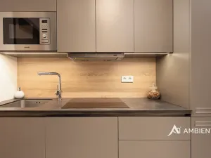 Pronájem bytu 1+kk, Brno, Mezírka, 42 m2