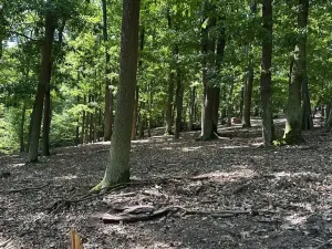 Prodej chaty, Štěchovice, 150 m2