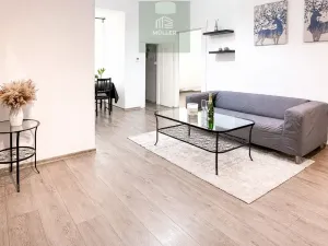 Pronájem bytu 2+kk, Plzeň, Guldenerova, 43 m2