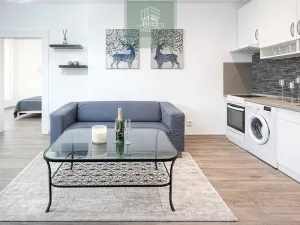 Pronájem bytu 2+kk, Plzeň, Guldenerova, 43 m2