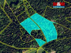 Prodej lesa, Rusava, 26118 m2