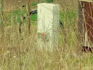 Prodej zahrady, Domažlice, Vlčí Hrdlo, 647 m2