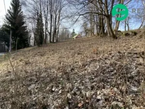 Prodej pozemku pro bydlení, Albrechtice v Jizerských horách, 1024 m2