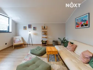 Prodej apartmánu, Staré Město, Sportovní, 197 m2
