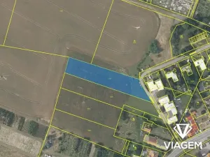 Prodej pole, Žehušice, 2686 m2