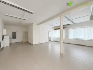 Pronájem skladu, Hodonín, Sadová, 199 m2