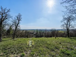 Prodej rodinného domu, Střemy, 100 m2