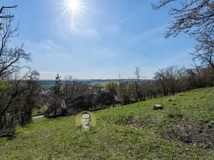 Prodej rodinného domu, Střemy, 100 m2