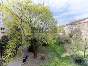 Pronájem bytu 3+1, Praha - Strašnice, U Vesny, 75 m2