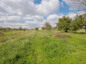 Prodej garáže, Těmice, 38 m2