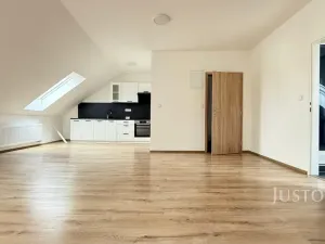 Pronájem bytu 1+kk, Chabařovice, V Aleji, 50 m2