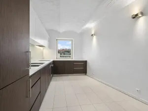 Pronájem bytu 3+1, Praha - Bubeneč, U akademie, 130 m2