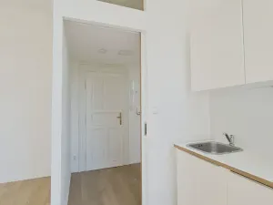 Pronájem bytu 1+kk, Praha - Holešovice, Na Maninách, 31 m2