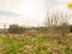 Prodej pozemku pro bydlení, Dolní Lutyně, 2488 m2