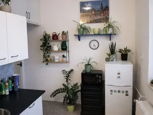 Pronájem bytu 1+1, Pardubice - Zelené Předměstí, Na Hrádku, 37 m2