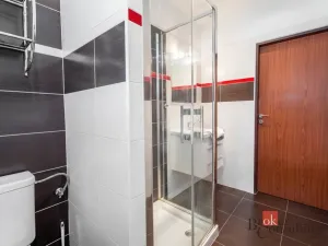 Prodej bytu 3+1, Liberec - Liberec XV-Starý Harcov, Na Výšinách, 72 m2