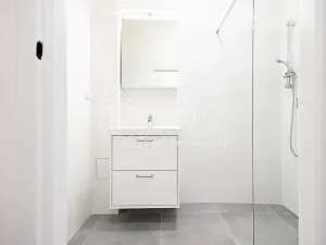 Pronájem bytu 1+kk, Praha - Nusle, V Horkách, 22 m2