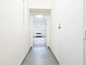 Pronájem bytu 1+kk, Praha - Nusle, V Horkách, 22 m2