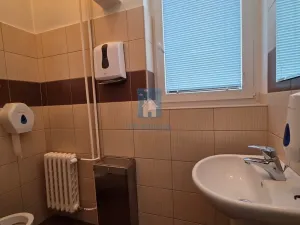 Pronájem kanceláře, Plzeň, Hálkova, 125 m2