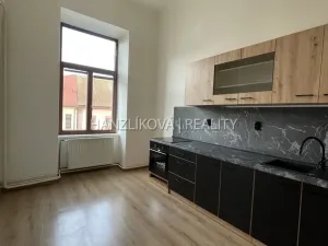 Pronájem bytu 1+1, České Budějovice - České Budějovice 6, Žižkova tř., 49 m2