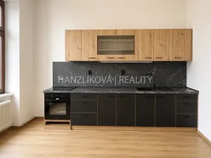 Pronájem bytu 1+1, České Budějovice - České Budějovice 6, Žižkova tř., 49 m2