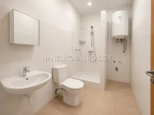 Pronájem bytu 1+1, České Budějovice - České Budějovice 6, Žižkova tř., 49 m2