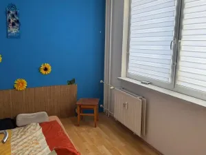 Prodej bytu 2+1, Vsetín, Bratří Hlaviců, 43 m2