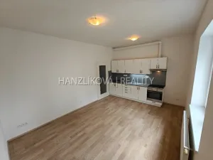 Pronájem bytu 1+kk, České Budějovice - České Budějovice 2, U Lesa, 26 m2