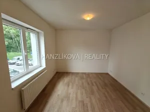 Pronájem bytu 1+kk, České Budějovice - České Budějovice 2, U Lesa, 26 m2