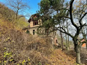 Prodej vily, Ústí nad Labem - Ústí nad Labem-centrum, Čajkovského, 400 m2