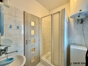 Prodej rodinného domu, Hrušovany u Brna, Žižkova, 232 m2